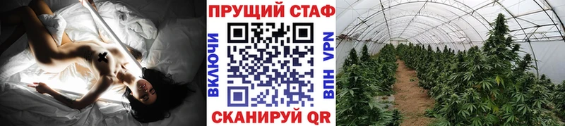 Виды наркотиков купить Щёкино Конопля  Alpha-PVP  ГАШ  COCAIN 
